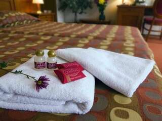 Отель Hotel Central Велико-Тырново Двухместный номер с 1 кроватью или 2 отдельными кроватями-5